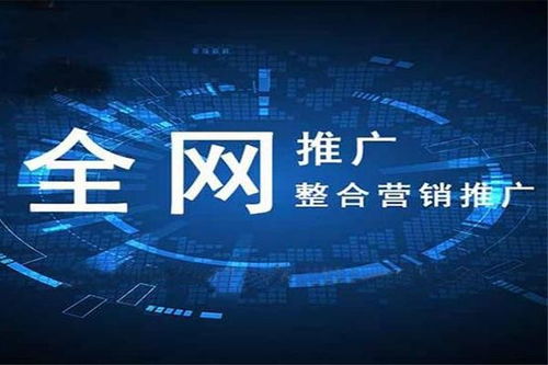 邛崍網絡營銷策劃公司 助力企業實現數字化轉型與精準營銷